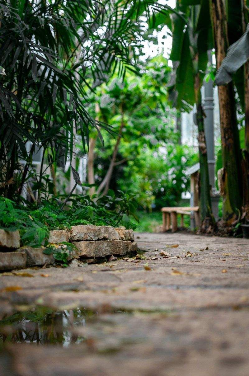 ブティックオフィスビルのエントリーガーデンコンセプト